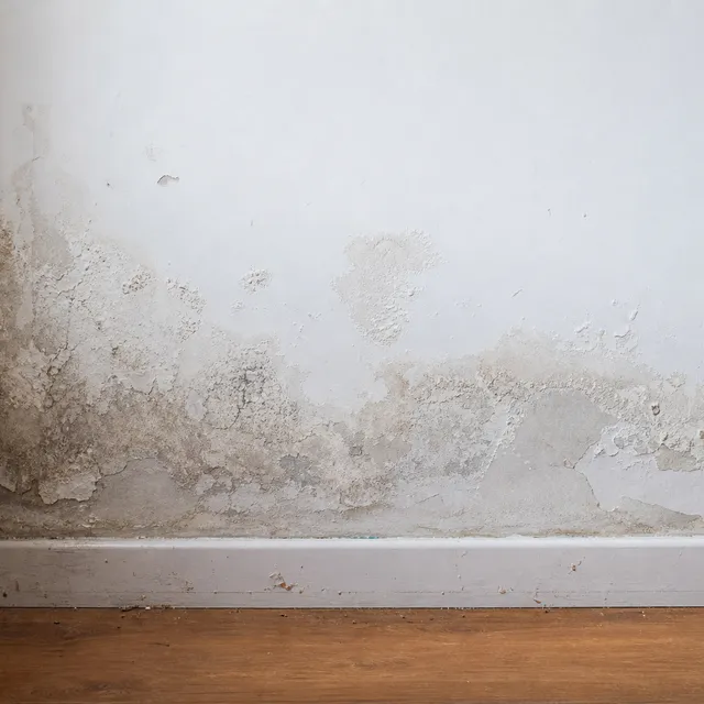 Feuchte Wand mit Feuchtigkeitsschaden und Sanierungsbedarf